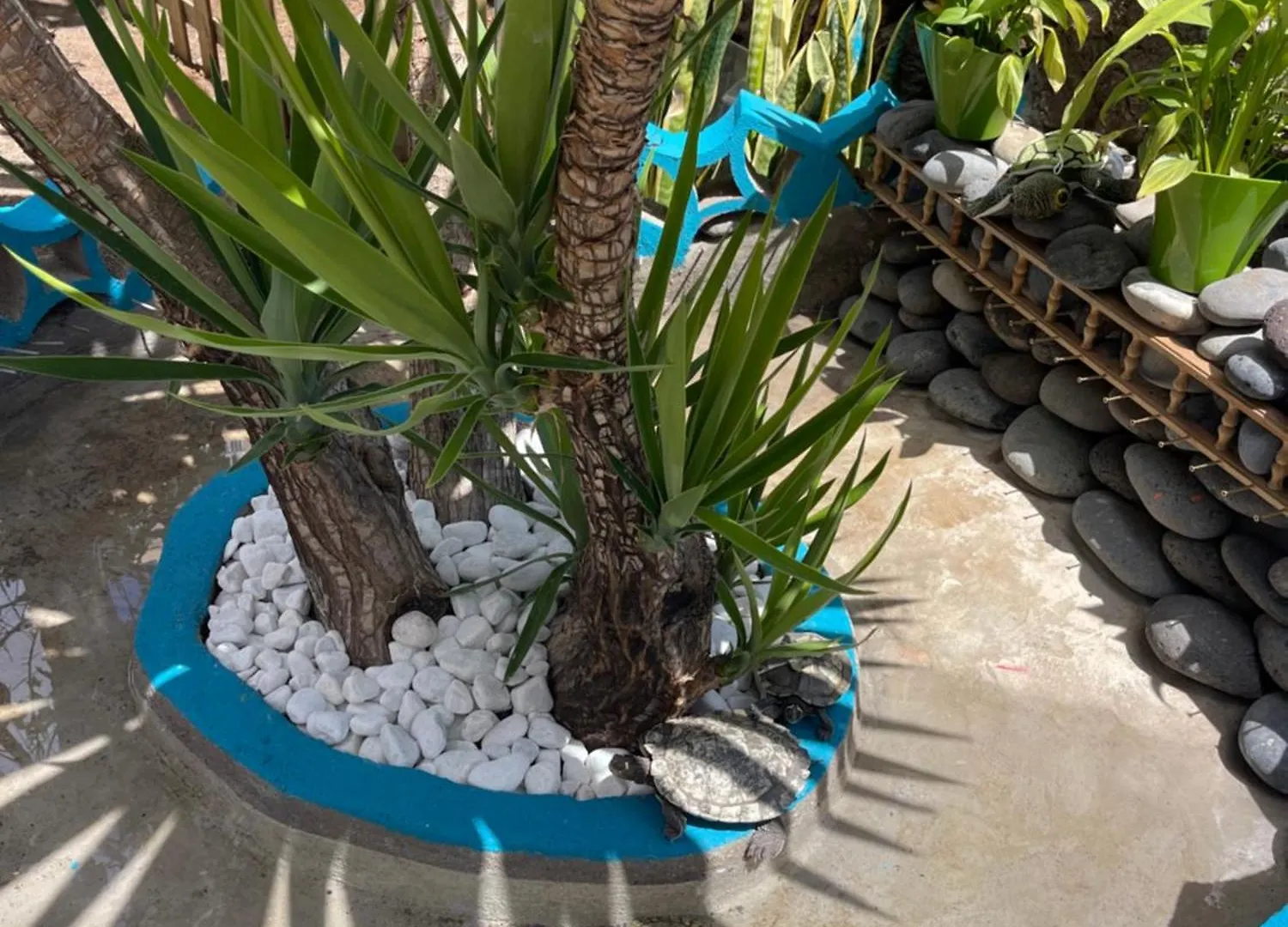 アパート Casita Playa Las Americas 150M De La Playa プラヤ・デ・ラス・アメリカス